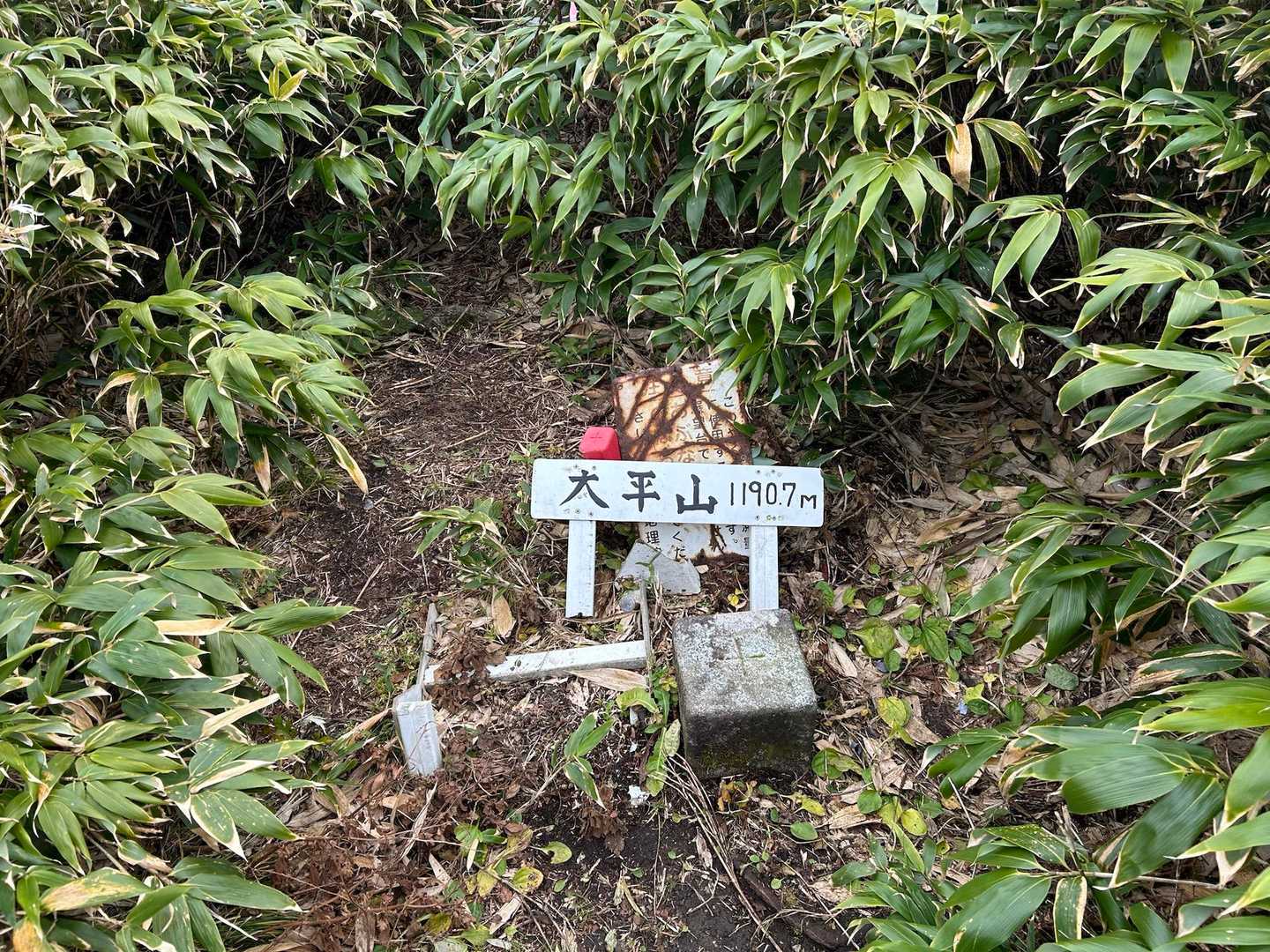山頂到着。

苦労して着いた山頂は、猫の額ほどの広さでした。