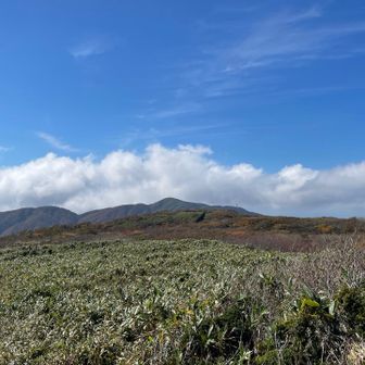 極楽平の目の前には部子山。
極楽平を歩きながら、引き返してピストンにするか、そのまま周回するか考え中