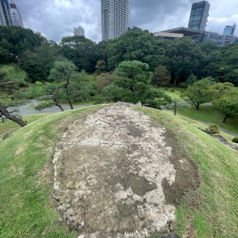登頂🫡