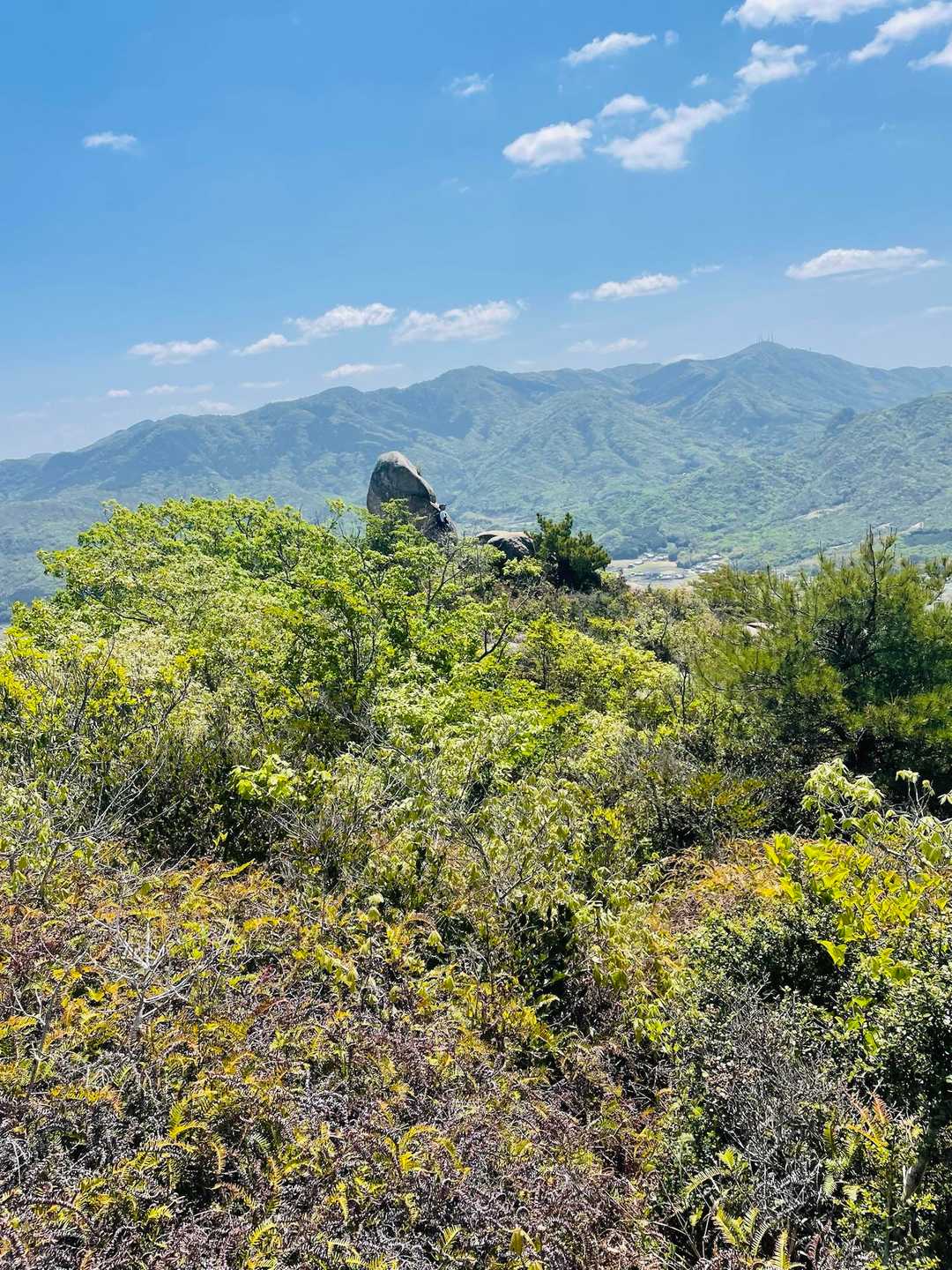 大きな岩があるね！