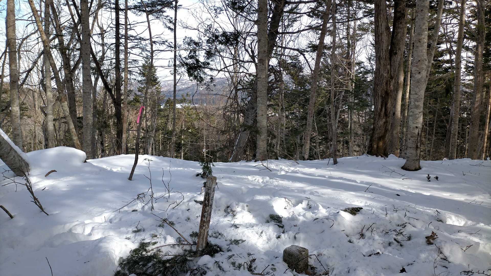 標高低いのもあるが、眺望はいまいち。
西方面に摩周岳の外輪山がちょこっと見える程度。
さて下山。