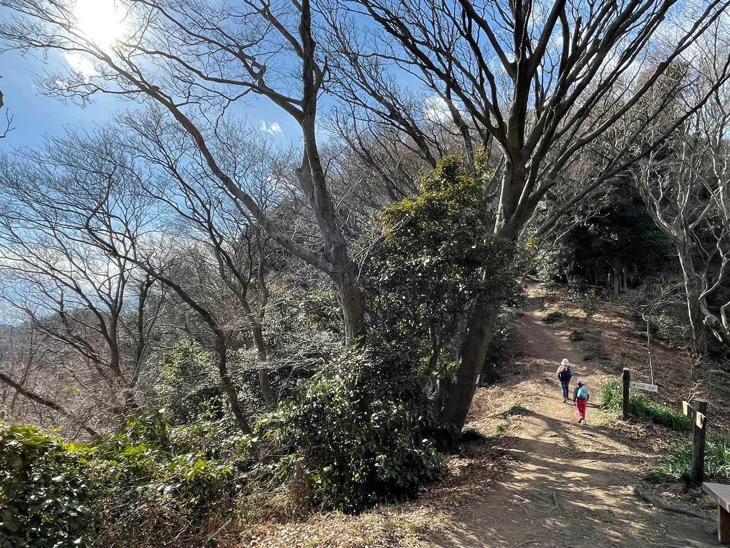 写真はうまく撮れなかったですが、左にここから続く尾根と大磯の街と海が見えて気持ちがいい道。
この景色は冬だけです。