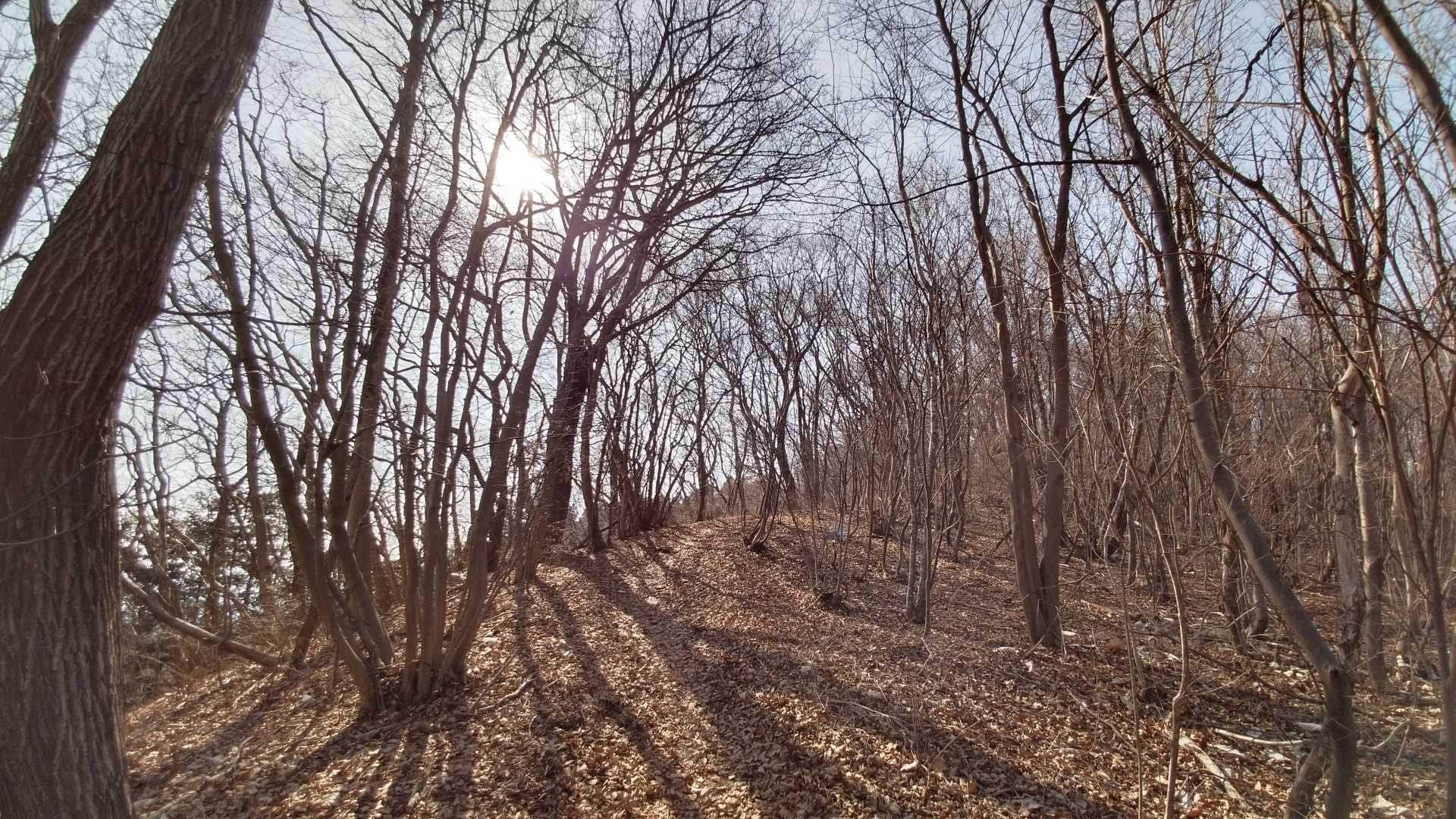 気分よく下山です✨