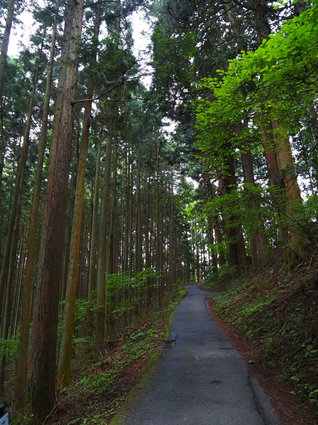 それ、持ってるっていうんか？
呪われてるんじゃね？
しかもケーブル料金往復代払ってるんですけど、
