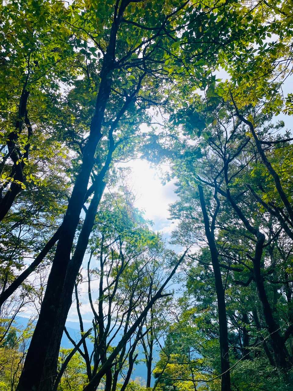 お〜！！！！！！
太陽の恵み💕  暖かい💕
マジで、もう少しで死んでました。 