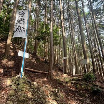 ロープ場を過ぎると