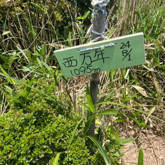 山頂