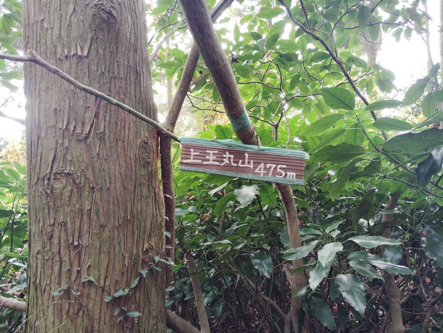 上王丸山475