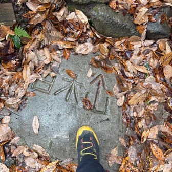 ☔️ザーザー😓
いとおかし✨️