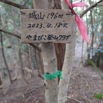 城山山頂とうちゃ～く🙆小さな標識
