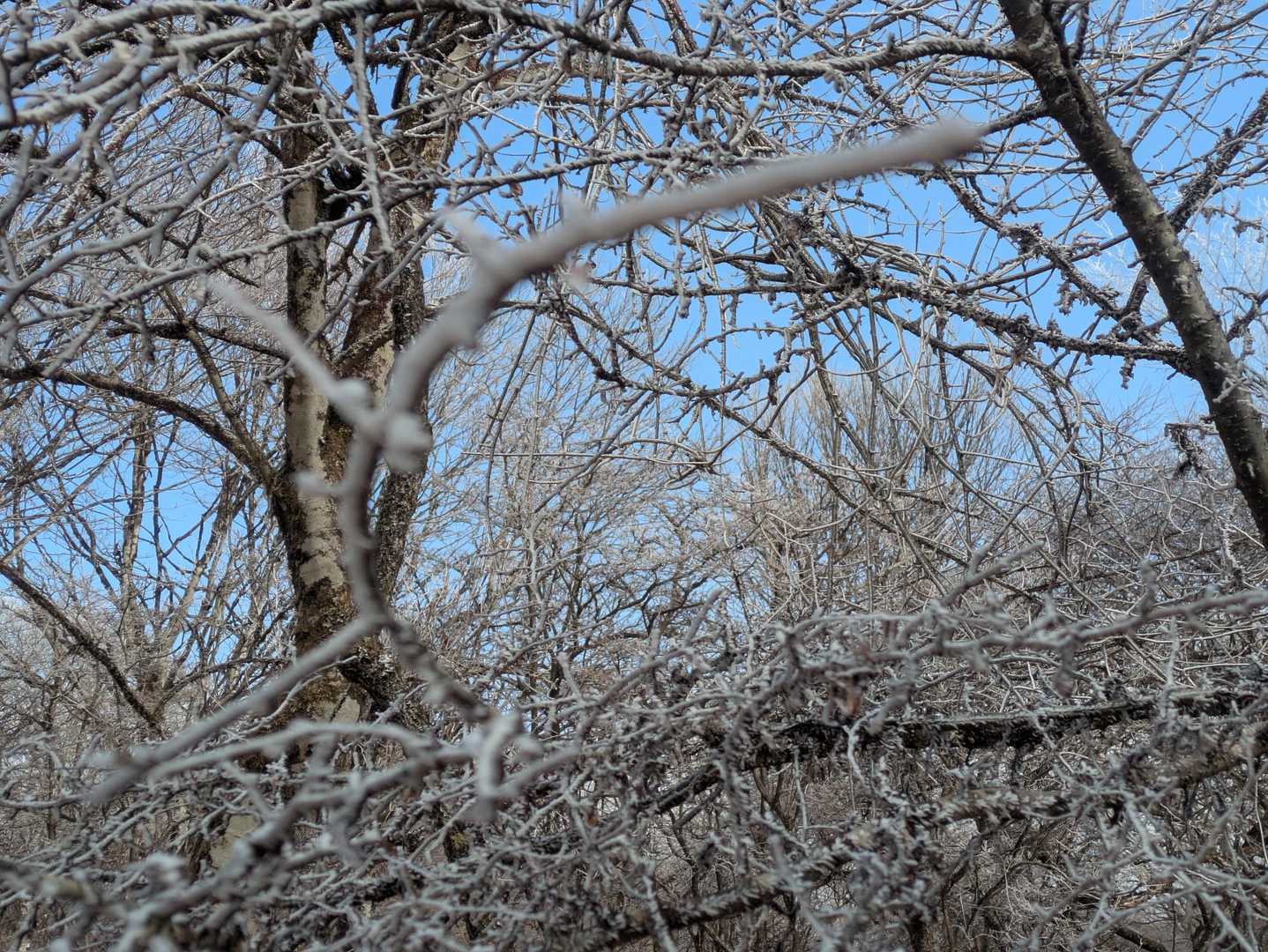 相沢登山口-荒船山 往復コースの写真