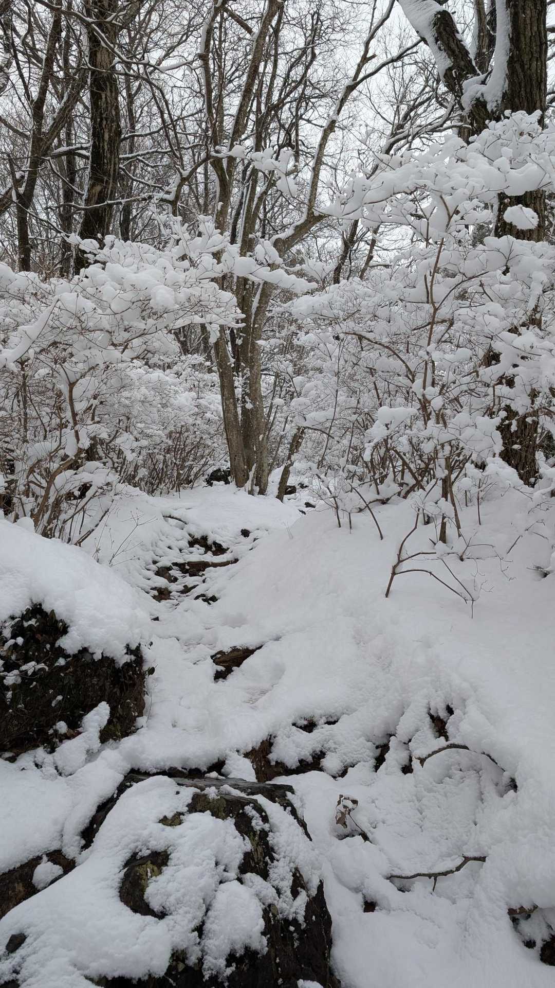 雨でも雪でも、息をするように山を歩けたら理想的