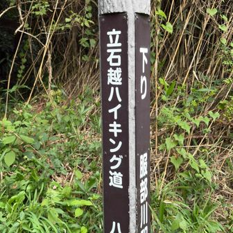 ここから降ります