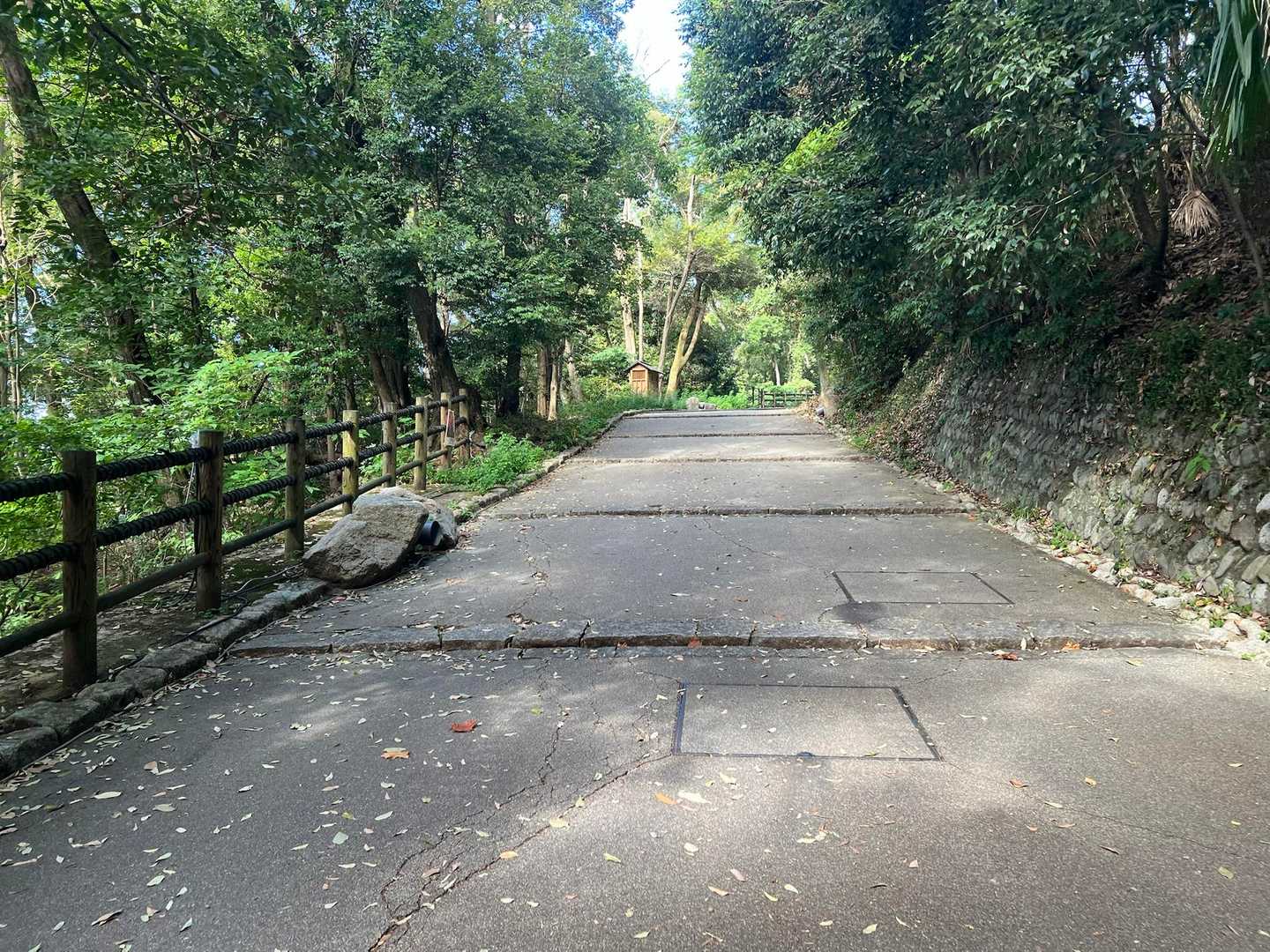 ロープウェイ前バス停-勝山 往復コースの写真
