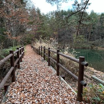 🍁ため池も静かに☃️冬❄️の到来を待ちます！

🍀最後まで読んで頂き、ありがとうございます☺️