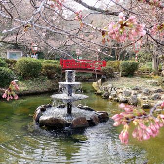 みんな元気なころの姿を思い出す🥹
https://yamap.com/activities/22305382
