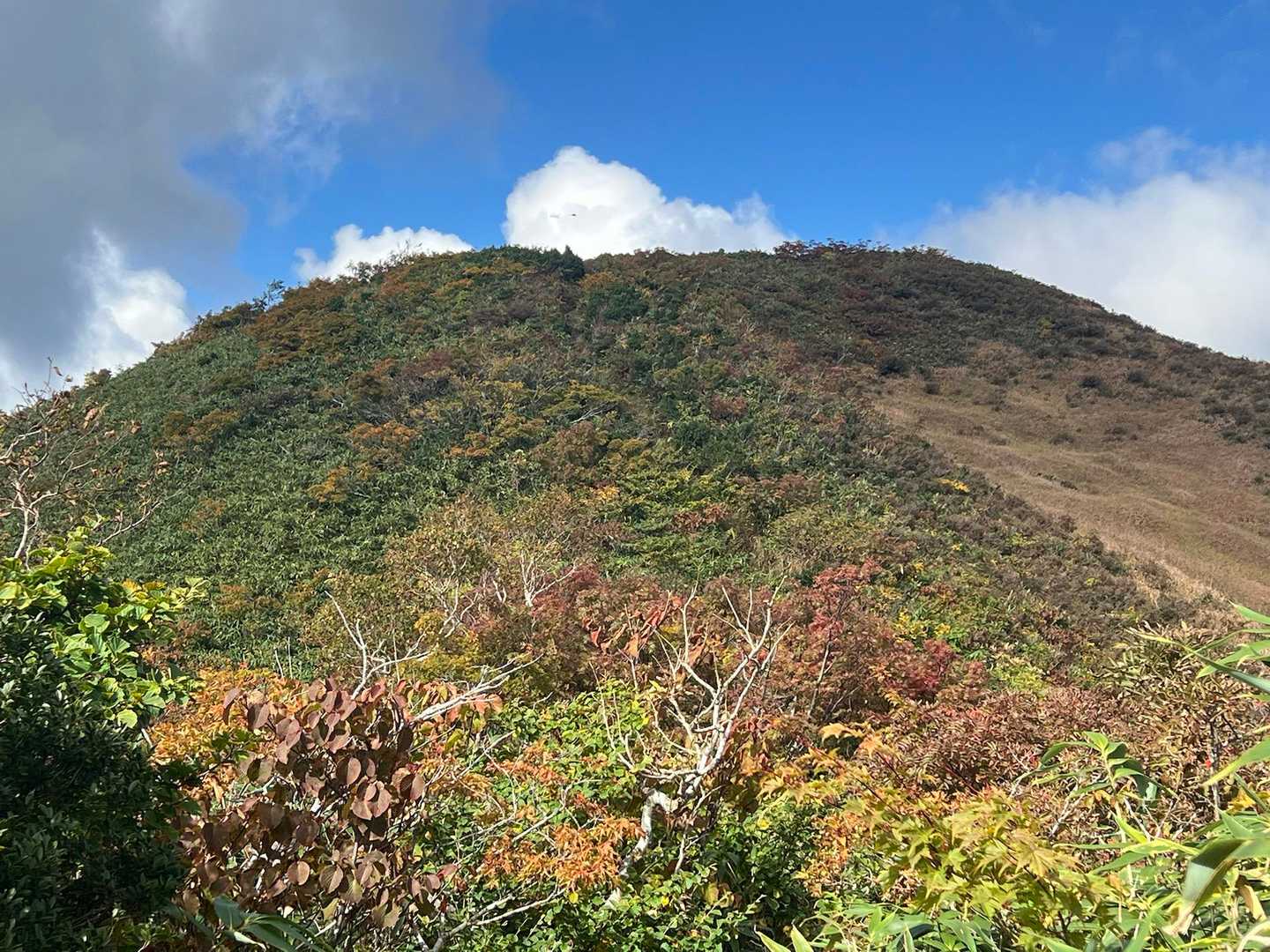 いい感じだね〜🍁
勇気を、出して先に進んでみて良かった