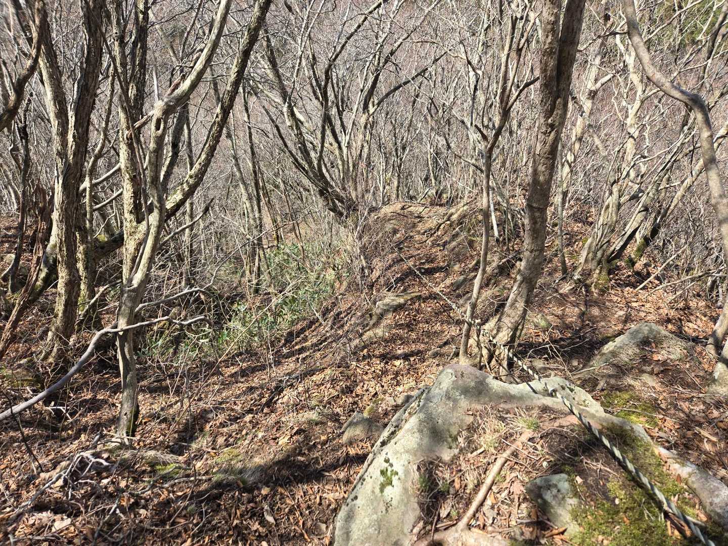 激下りです👀💦