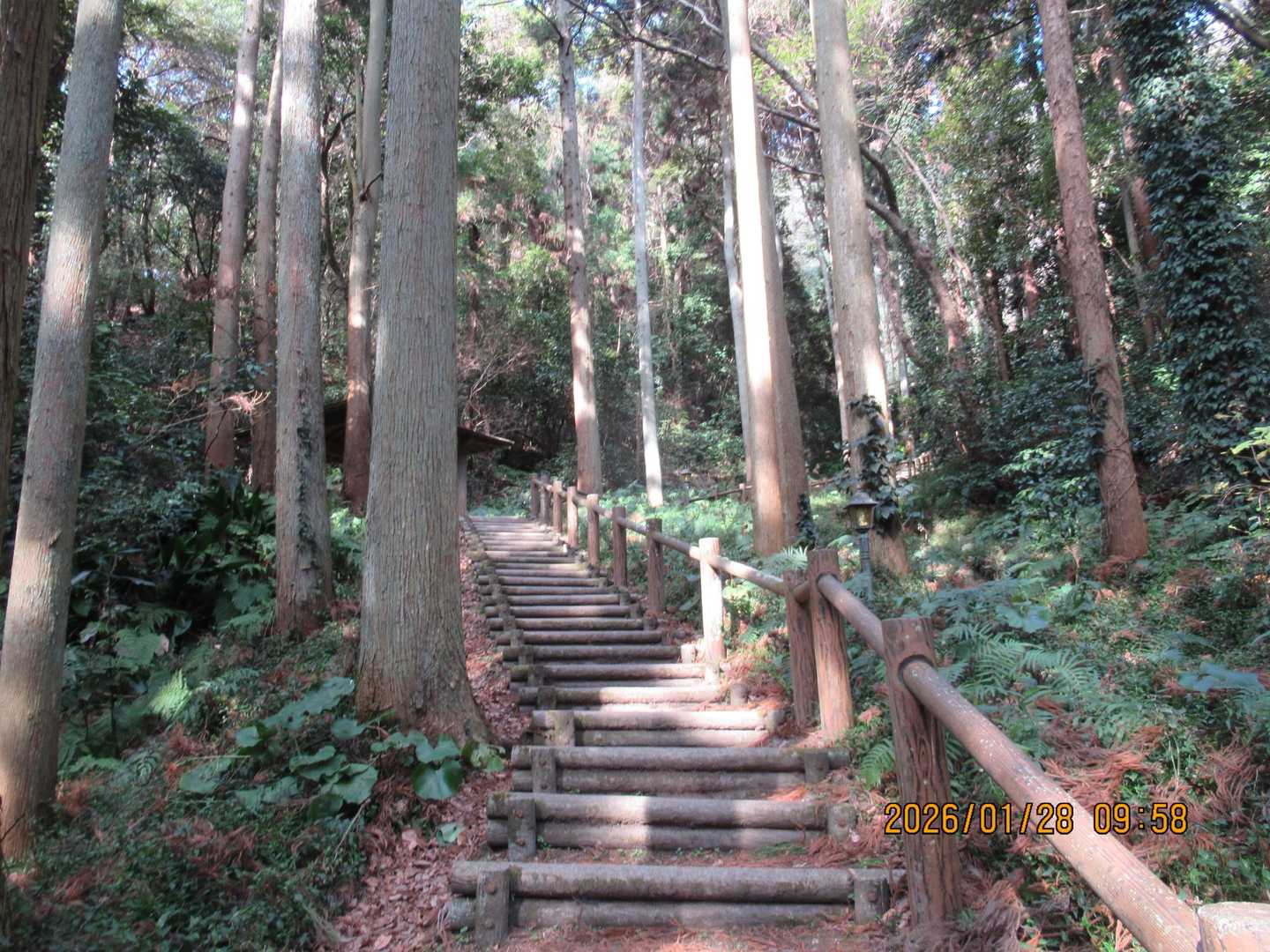 階段登ります