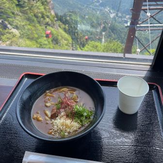 定番のカレーうどん