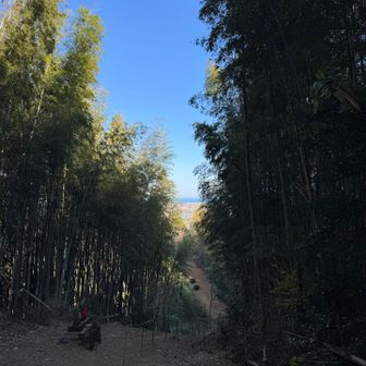 今日は周回で3.5周。
登りも全部走れるので
いい練習になります☺️