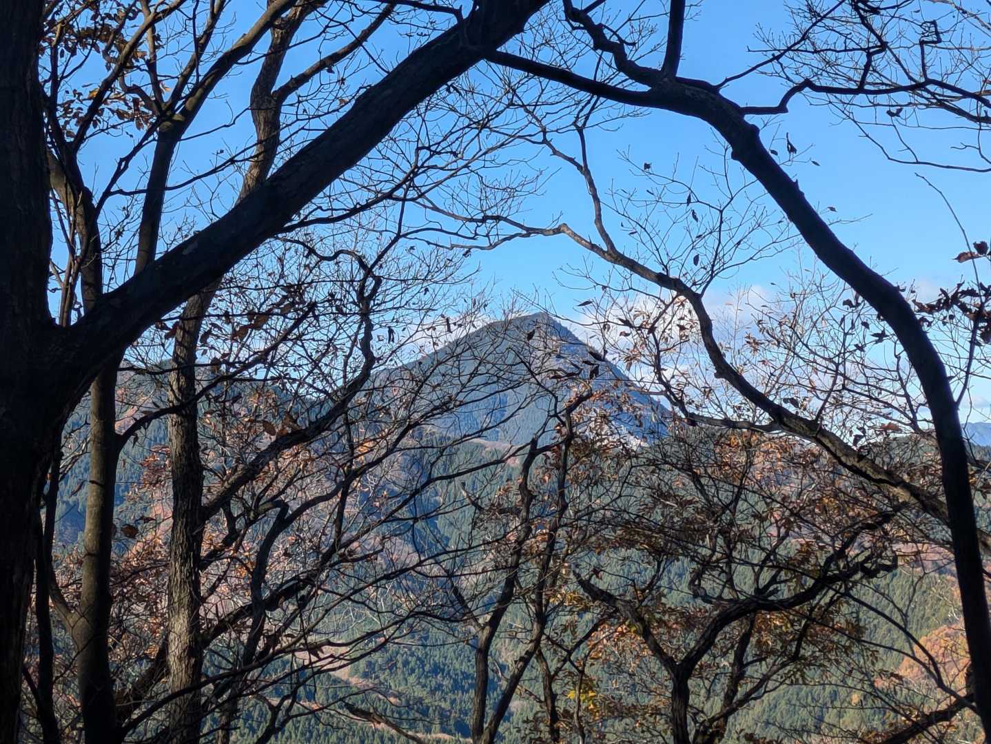 武甲山も見えました