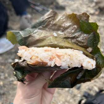 ペンションの奥さんが作ってくれたみかんの葉っぱ？に包んであるお寿司で朝ごはん！
さっぱりしてて美味しかった！