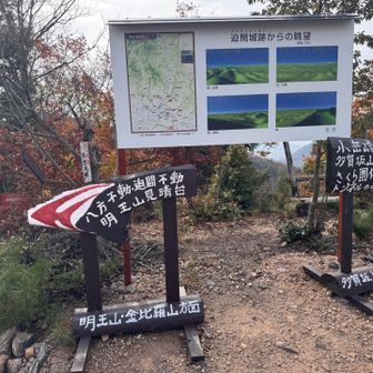 ここまで来る間にリスに遭遇
舗装道あっちにこっちにちょろちょろ！
スマホでは撮れませんでした。