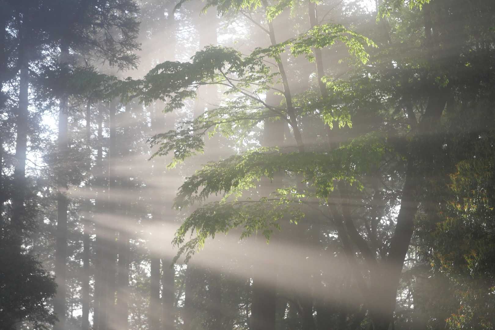 光芒その③