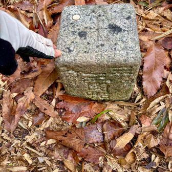 竜間山　三等三角点（点名：竜間山）