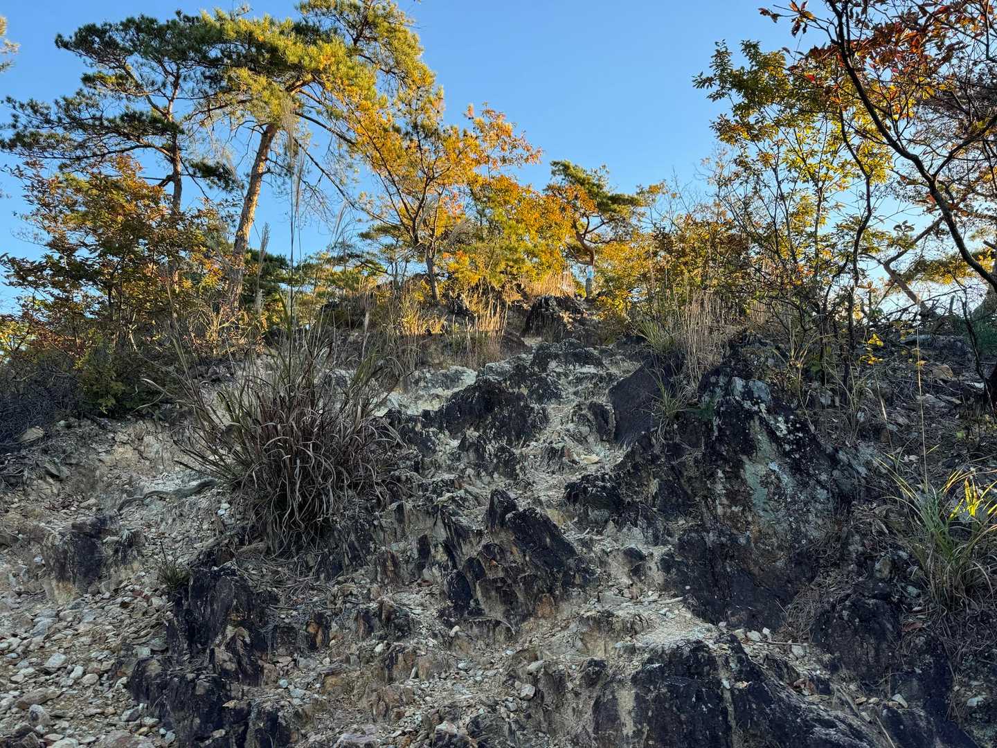 大人のアスレチック
低山でも岩、岩🪨
でも
大好き　楽しい😃