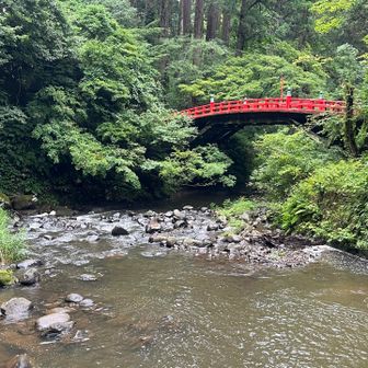 うむ。癒しの波動を存分に取り込めた気がします。