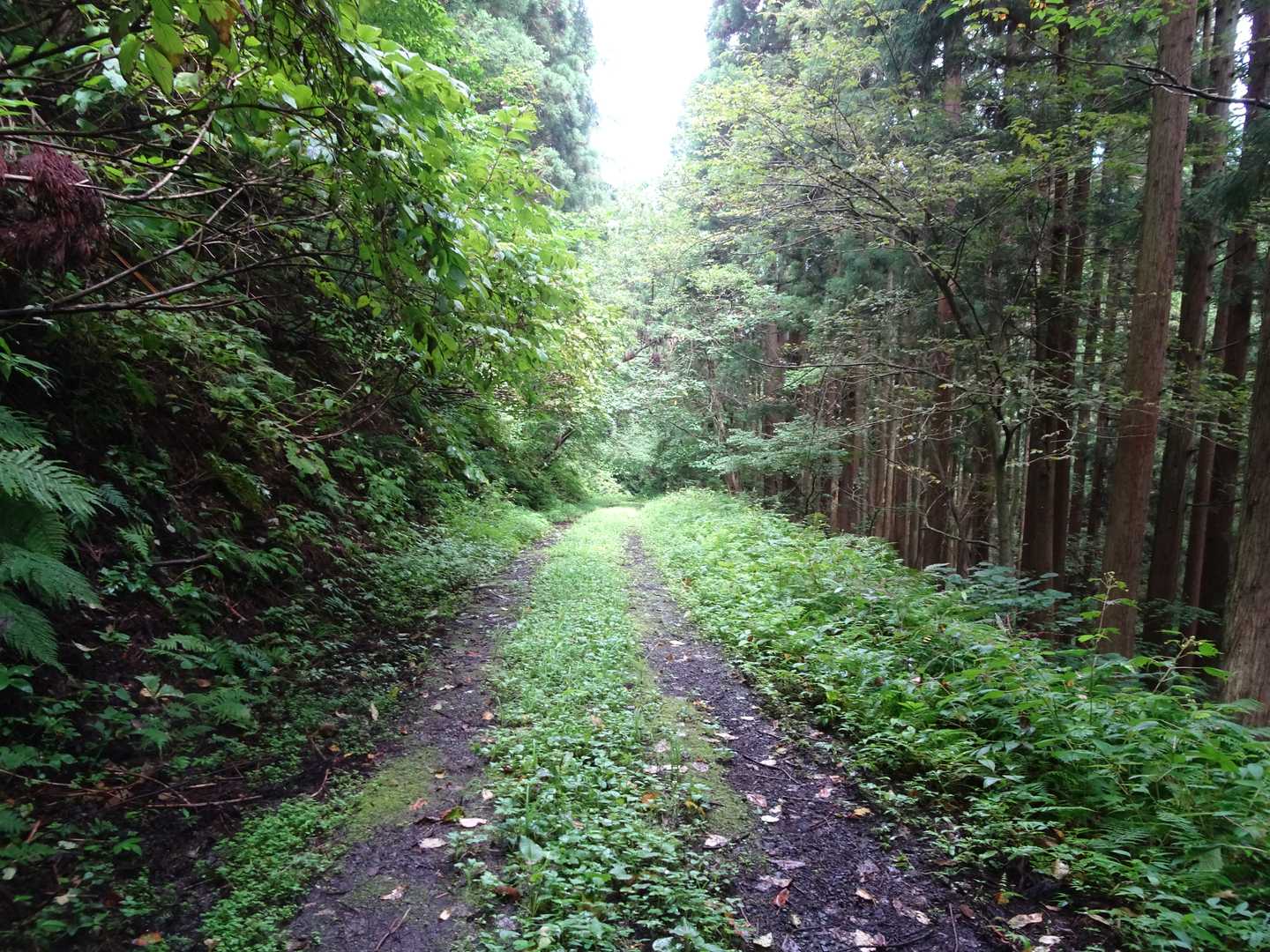 久渡寺山-岩落山 周回コースの写真