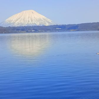 またまた湖畔からの羊蹄山