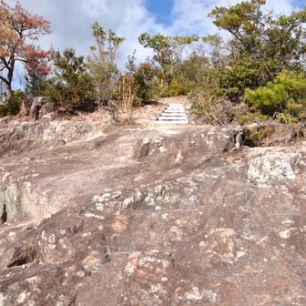 大きな岩場のこちらも狼岩。脚立を倒した簡易階段がある。