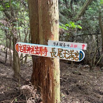 高塚山方面へはよく行きますが、こちらに向かうのは私も初めて。