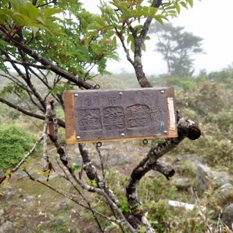 金糞岳山頂