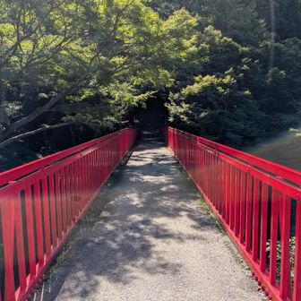 暗峠から枚岡神社方面へ…