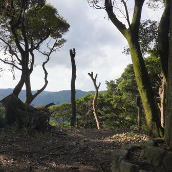 山頂