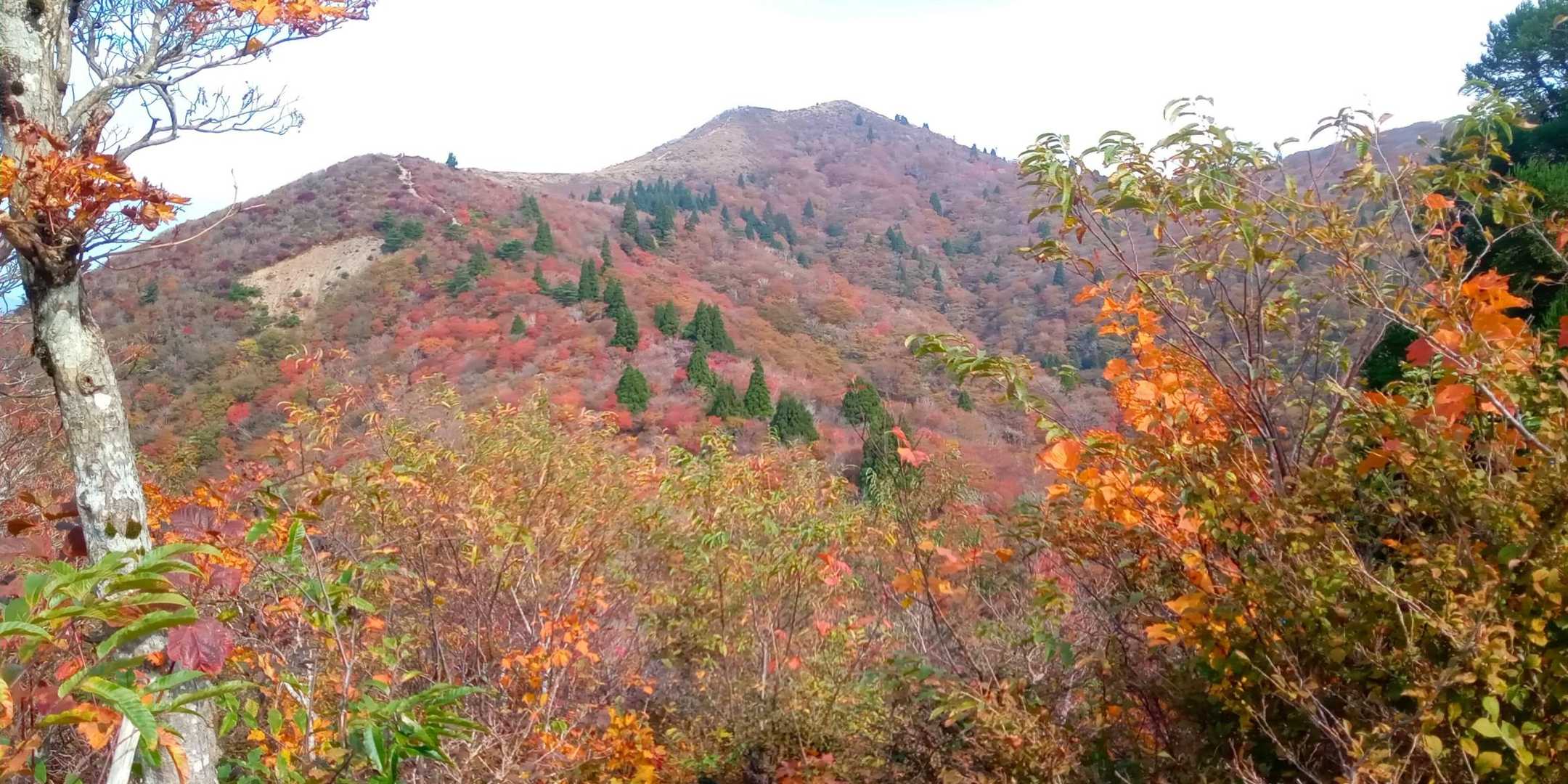 御殿山山頂から武奈ヶ岳西南稜を
紅葉が美しい
一番良い季節🍁🍁🍁