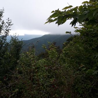 途中少し視界が開けました。