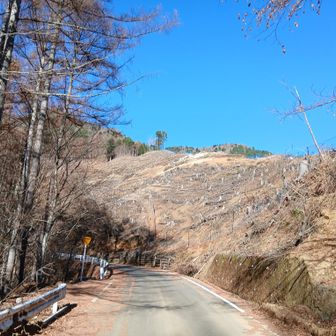 伐採地　雨が降ったら崩れそう　奥に見えるのが今倉山かな？