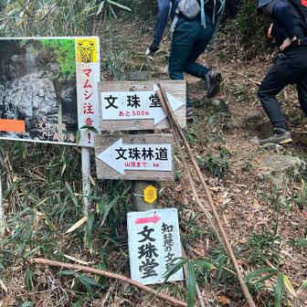 ここから出発です
この横に駐車場があります