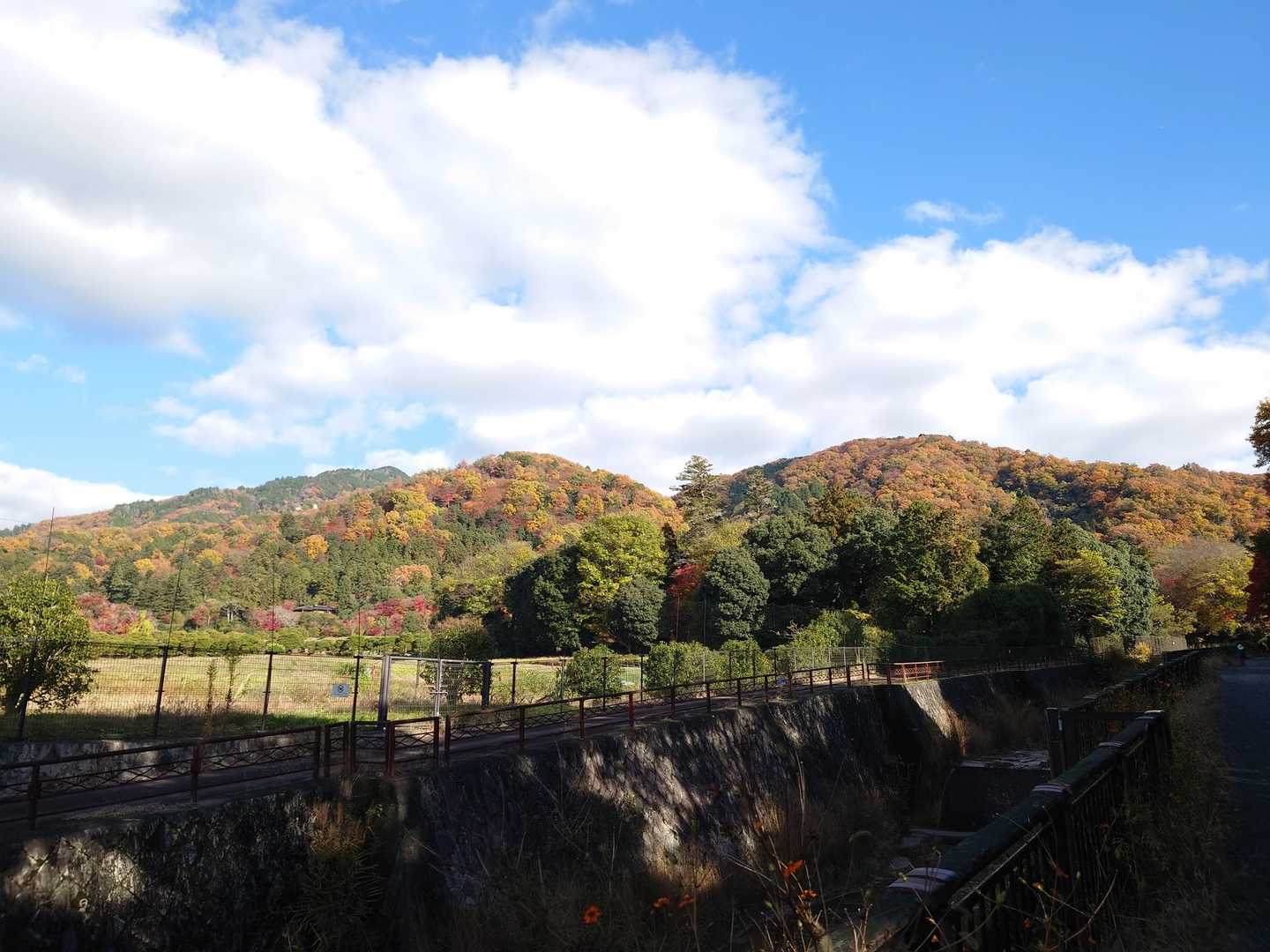 修学院駅-比叡山登山口-修学院山-一本杉-壺笠山-壺笠山取 縦走コースの写真