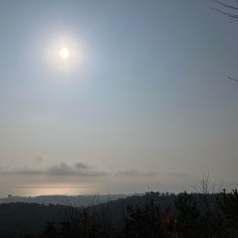 小木津山から眺めた霞みがかった空と海
これもまた良し⟡.· 春が来た証拠ですね