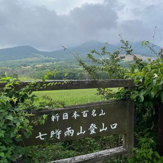 雲で山頂見えません