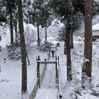 吊り橋を渡ります。