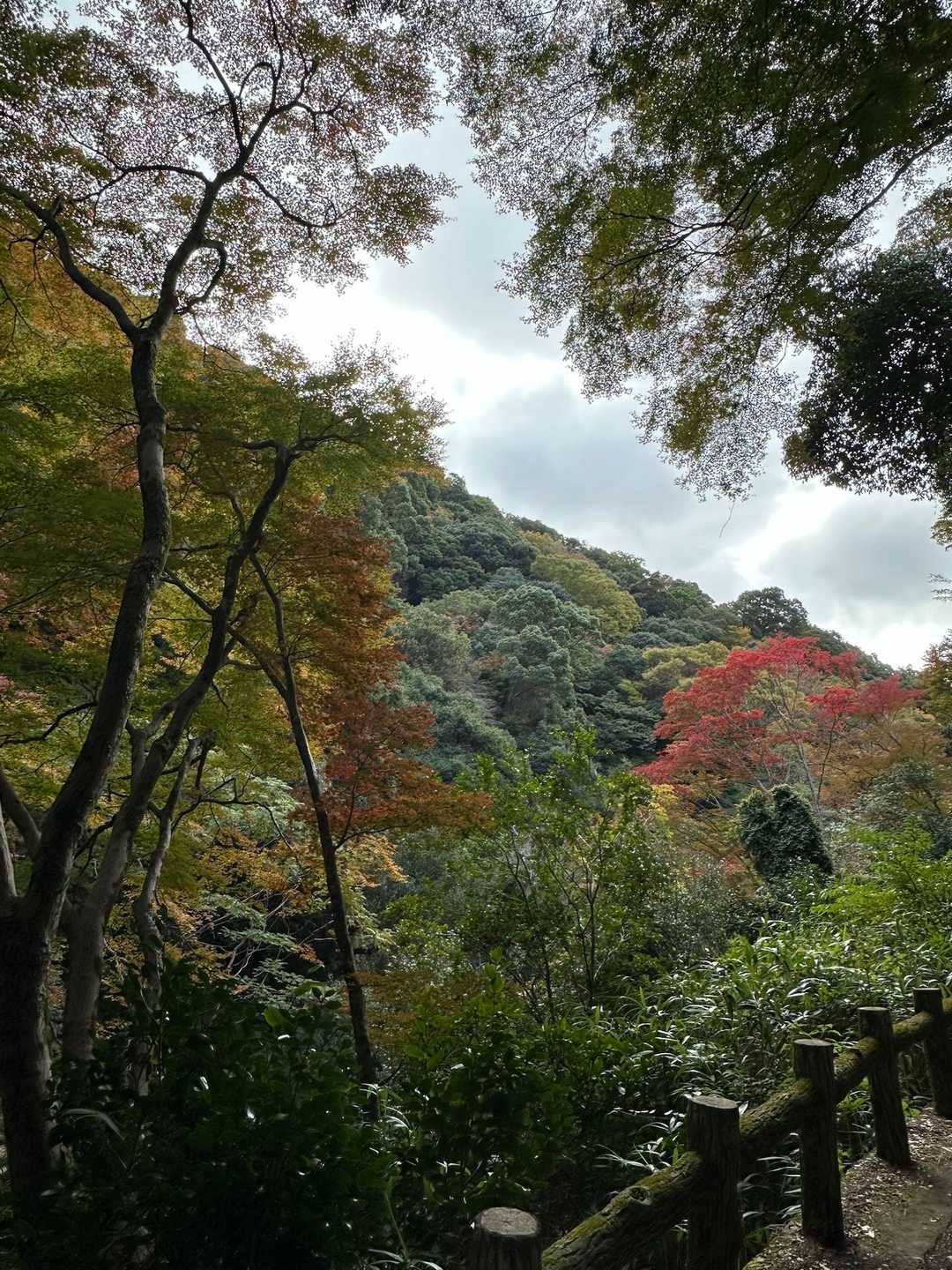 外院バス停-最勝ヶ峰-石子詰登山口-阪急箕面駅 縦走コースの写真