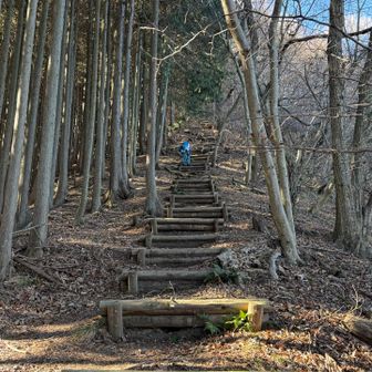 階段が怖いくらい落ち葉のトラップ