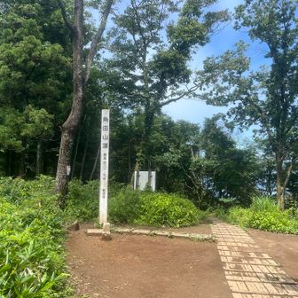 まずは山頂へ！